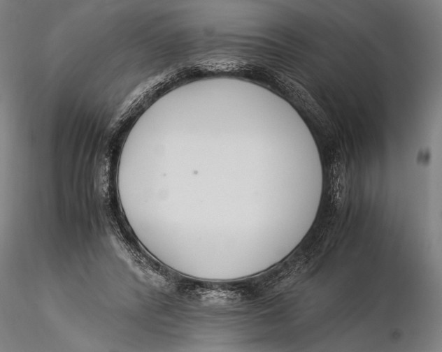 X0000116050400200912111509