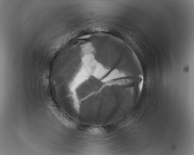 X0000116050402200912111509