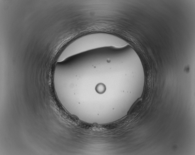 X0000116050403200912111509