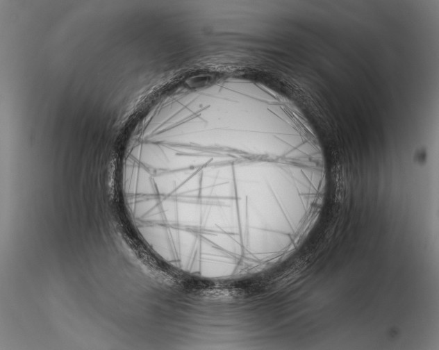 X0000116050404200912111509