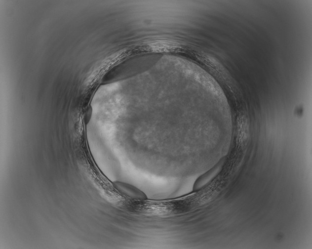 X0000116050405200912111509
