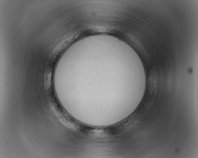 X0000116050406200912111509