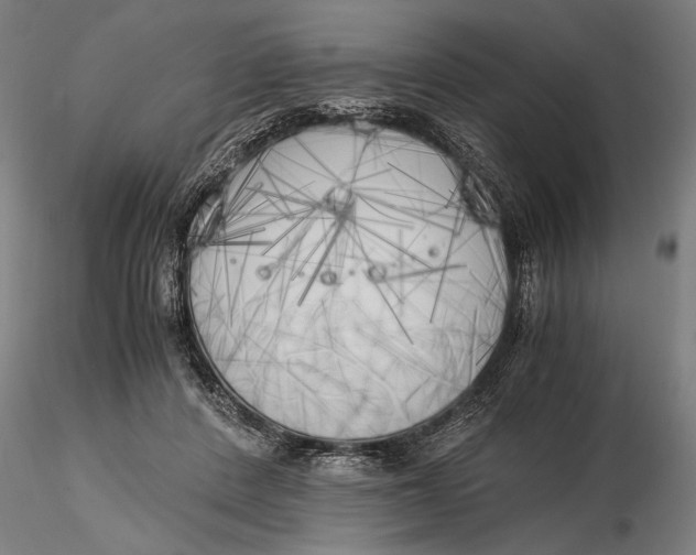 X0000116050408200912111509