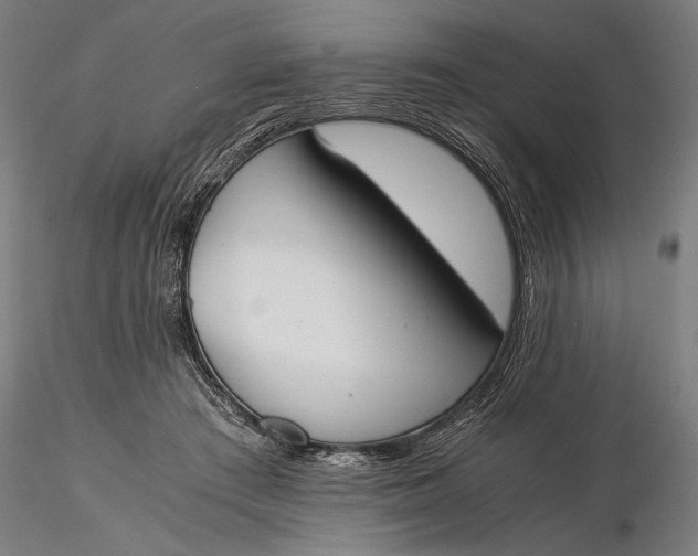 X0000116050409200912111509