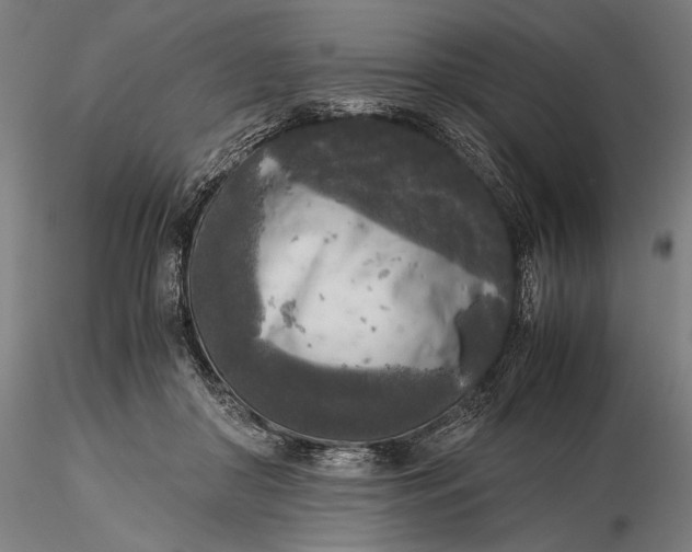 X0000116050410200912111509