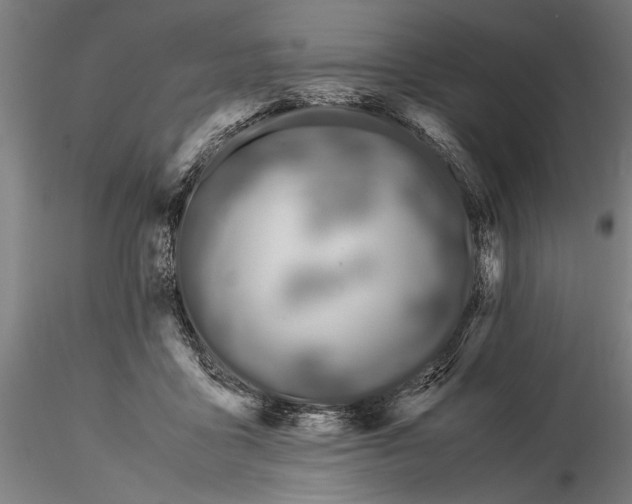 X0000116050411200912111509