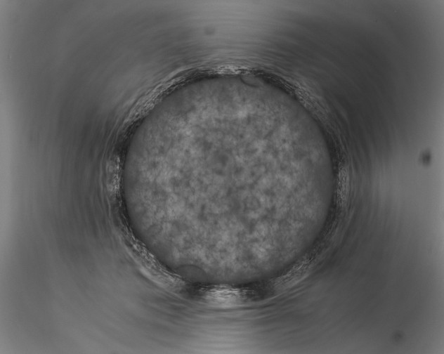 X0000116050413200912111509