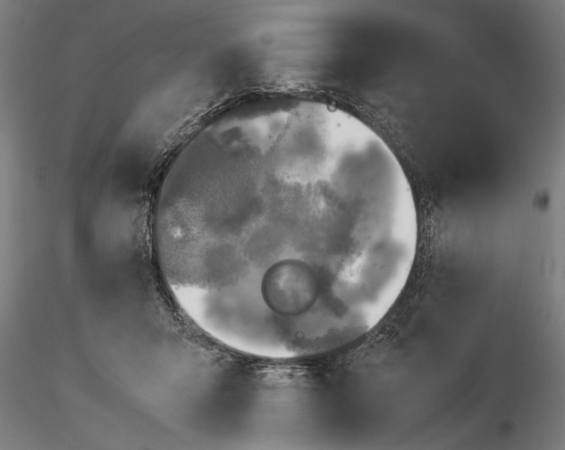 X0000116050415200912111509