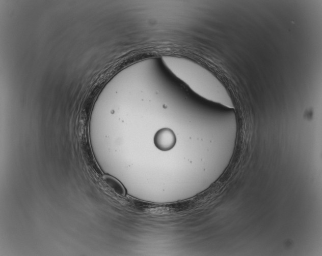 X0000116050417200912111509
