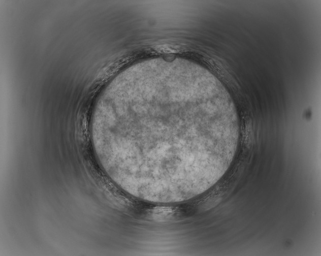X0000116050418200912111509