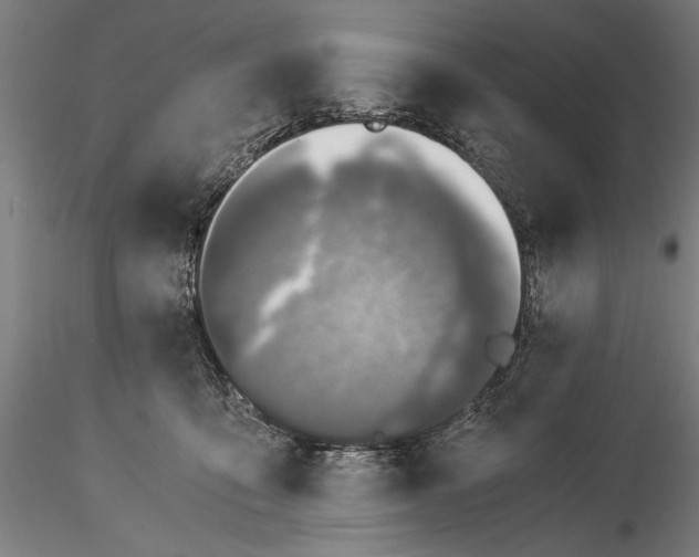 X0000116050419200912111508