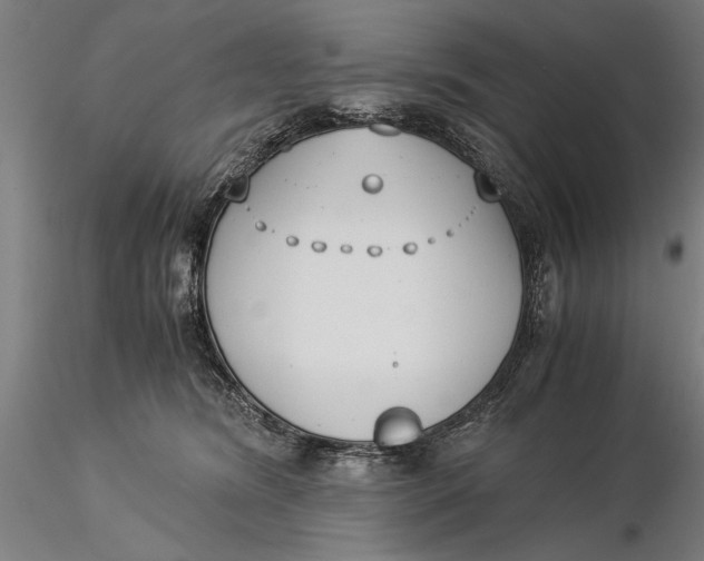 X0000116050420200912111508