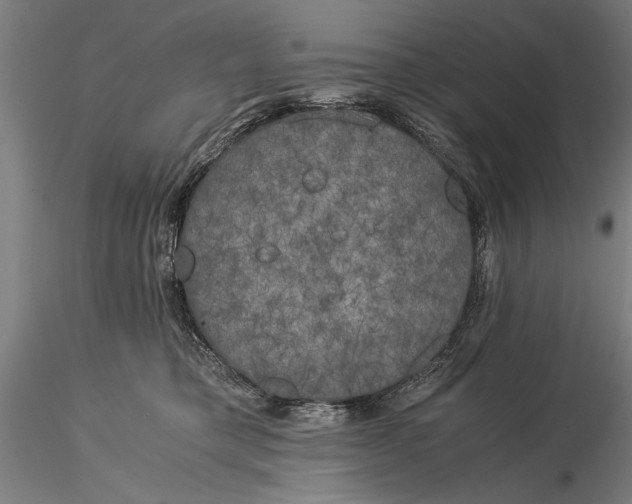 X0000116050421200912111508