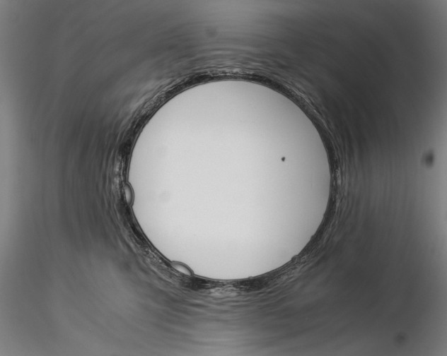 X0000116050423200912111508