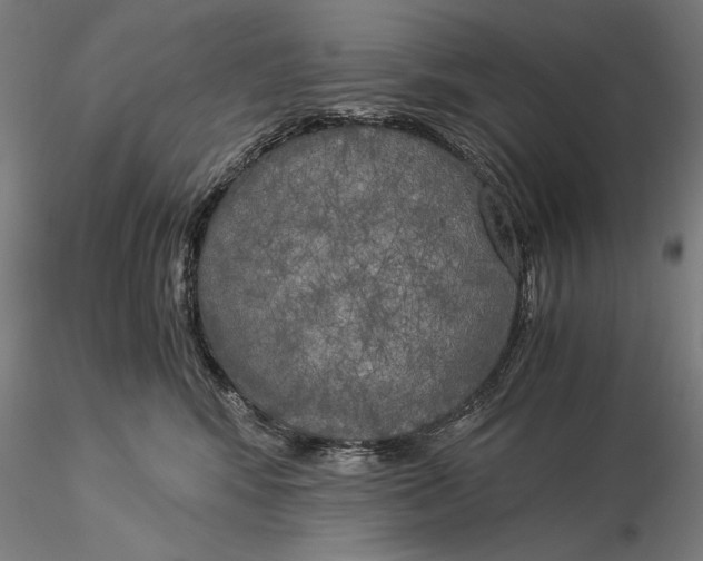 X0000116050424200912111508