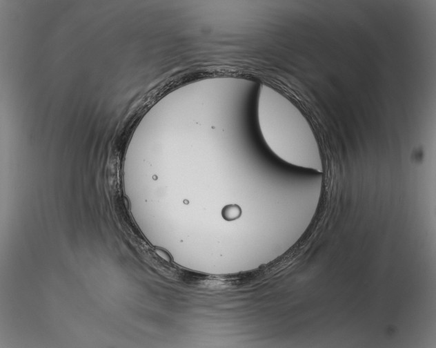 X0000116050425200912111508