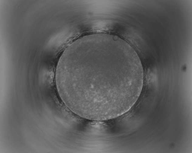 X0000116050427200912111508