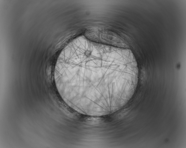 X0000116050428200912111508