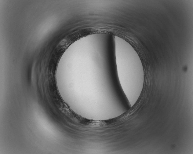 X0000116050429200912111508