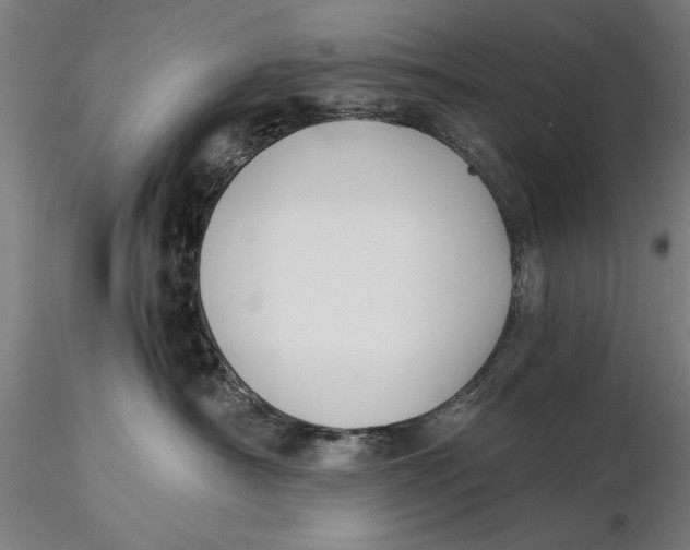 X0000116050430200912111508