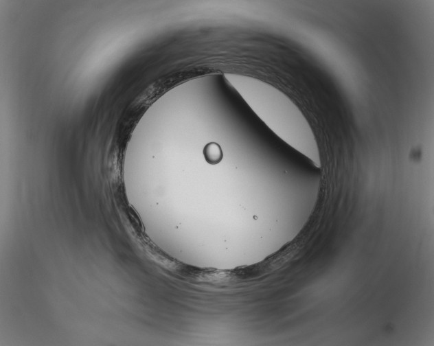 X0000116050431200912111508