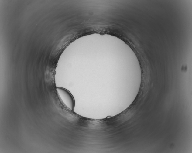 X0000116050432200912111508