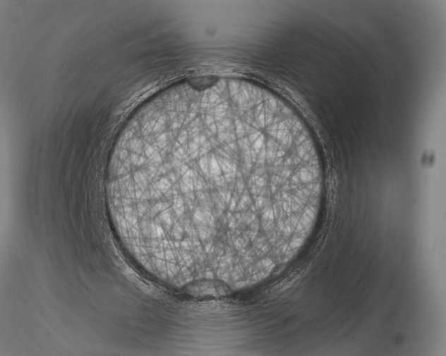 X0000116050433200912111508