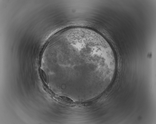 X0000116050434200912111508