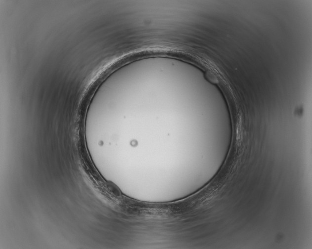 X0000116050436200912111508