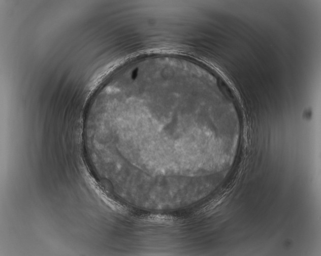 X0000116050437200912111508