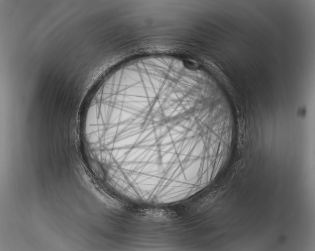 X0000116050439200912111508