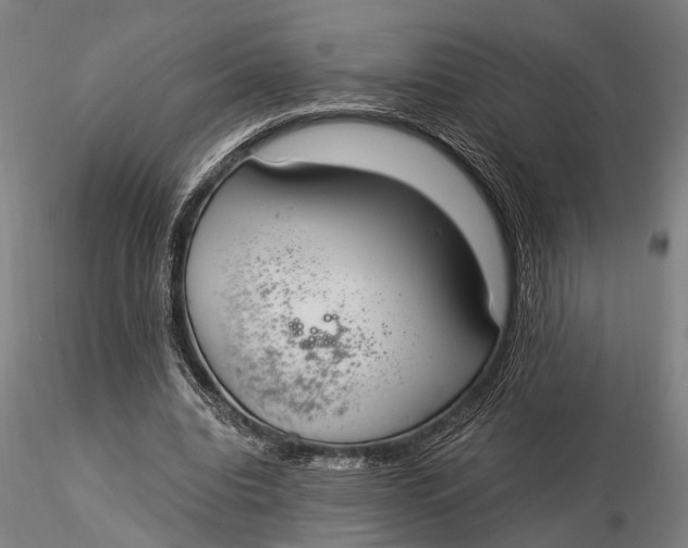 X0000116050440200912111508