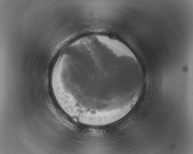 X0000116050442200912111508
