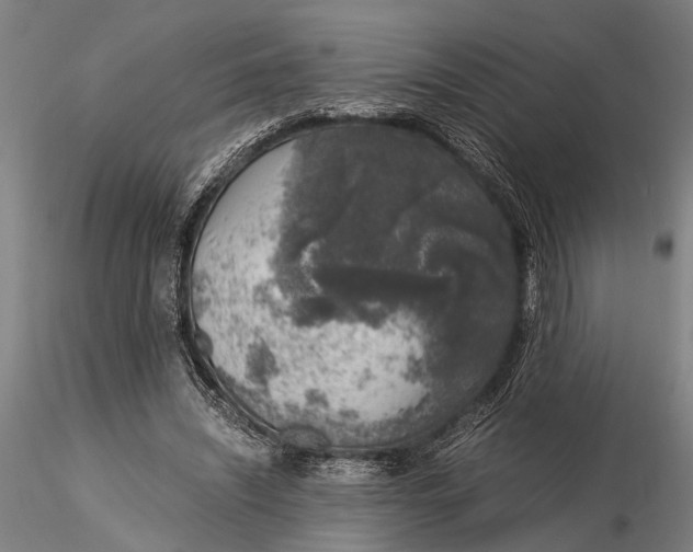 X0000116050444200912111508