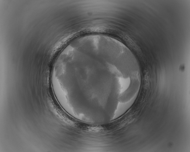 X0000116050446200912111508