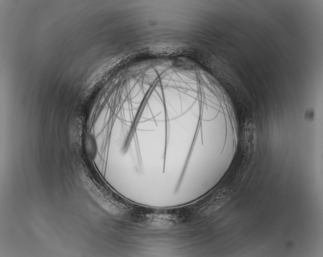 X0000116050448200912111508