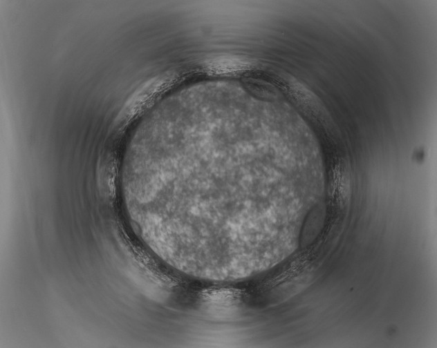 X0000116050452200912111508