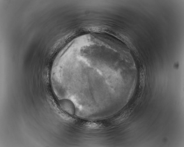 X0000116050453200912111508