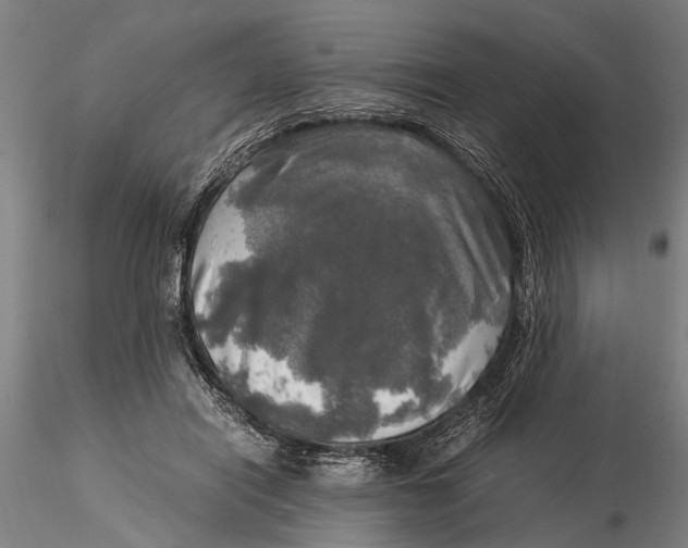 X0000116050454200912111508