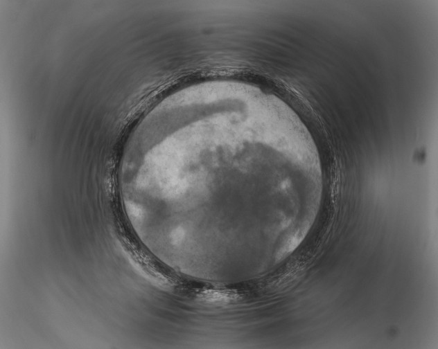 X0000116050455200912111508