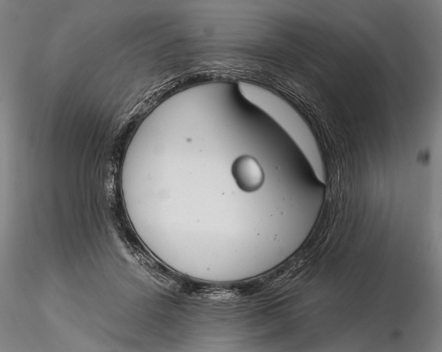 X0000116050456200912111508