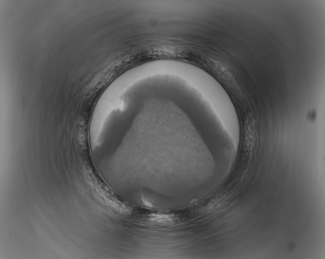 X0000116050457200912111508