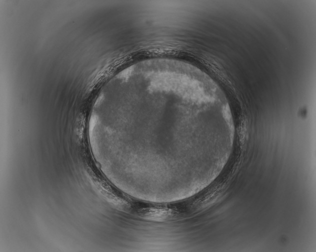 X0000116050458200912111508