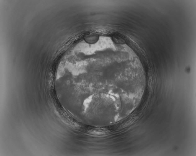 X0000116050459200912111508