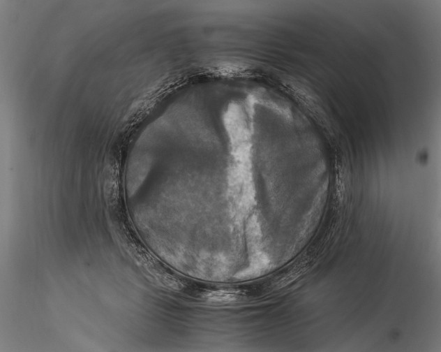 X0000116050461200912111508
