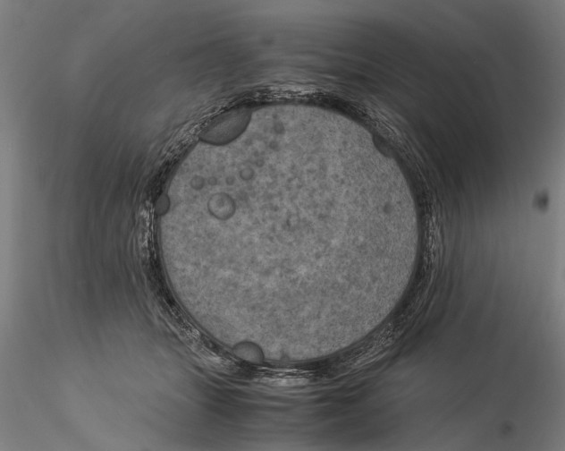 X0000116050463200912111508
