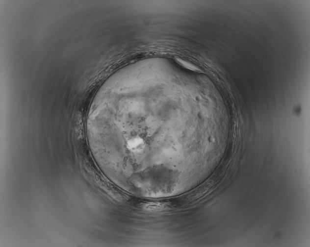 X0000116050465200912111508