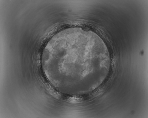 X0000116050466200912111508