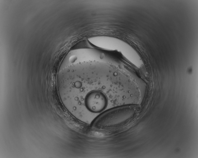 X0000116050467200912111508