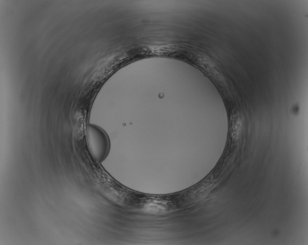 X0000116050471200912111508